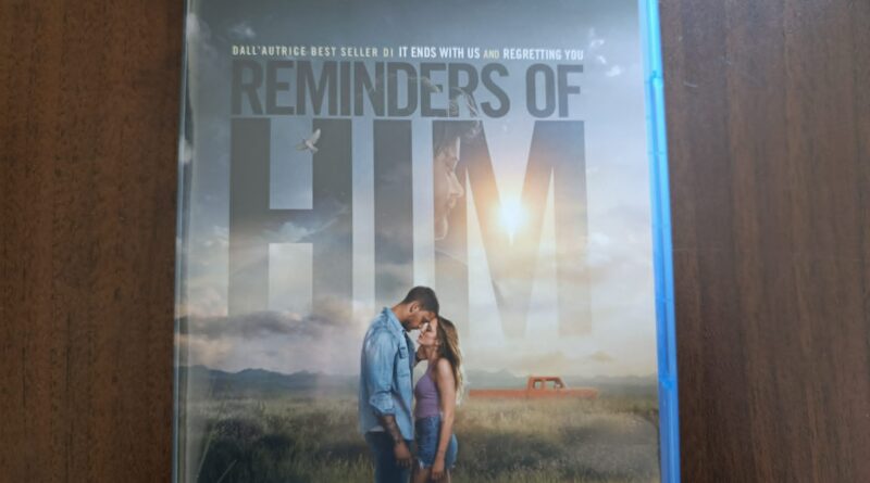 Reminders of him – Recensione