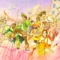 Romancing SaGa 3: Destinies United è classificato per console e PC