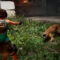 Tomb Raider:  Legacy of Atlantis presenta le creature della Grecia
